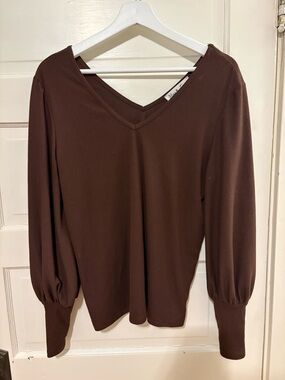 Vine & Love Brown V-Neck Long Sleeve Top